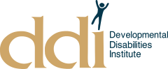 DDI Logo